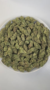PUFFY Gush Mintz is an indica-dominant hybrid THCa strain, born from the cross of Kush Mints × (F1 Durb × Gushers). The aroma is a refreshing blend of minty coolness, earthy richness, and subtle hints of creamy vanilla. Visually, the buds are dense and striking, showcasing dark green and deep purple hues intertwined with vibrant orange pistils and a sparkling layer of shimmering trichomes. Consumers often describe a powerful, body-zapping high that dissolves stress and tension, leaving the mind calm and the