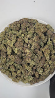 PUFFY Jealousy is a balanced hybrid THCa strain, expertly crafted from a potent cross between Sherbet Bx1 and Gelato 41. The aroma is a delightful blend of sweet, fruity notes, smooth creamy undertones, and delicate floral hints that captivate the senses. Visually striking, the dense buds display dark purple hues, vivid greens, and fiery orange pistils, all dusted with frosty trichomes. Consumers often note a balanced experience that eases stress and lifts the mood while blending mental relaxation with ener