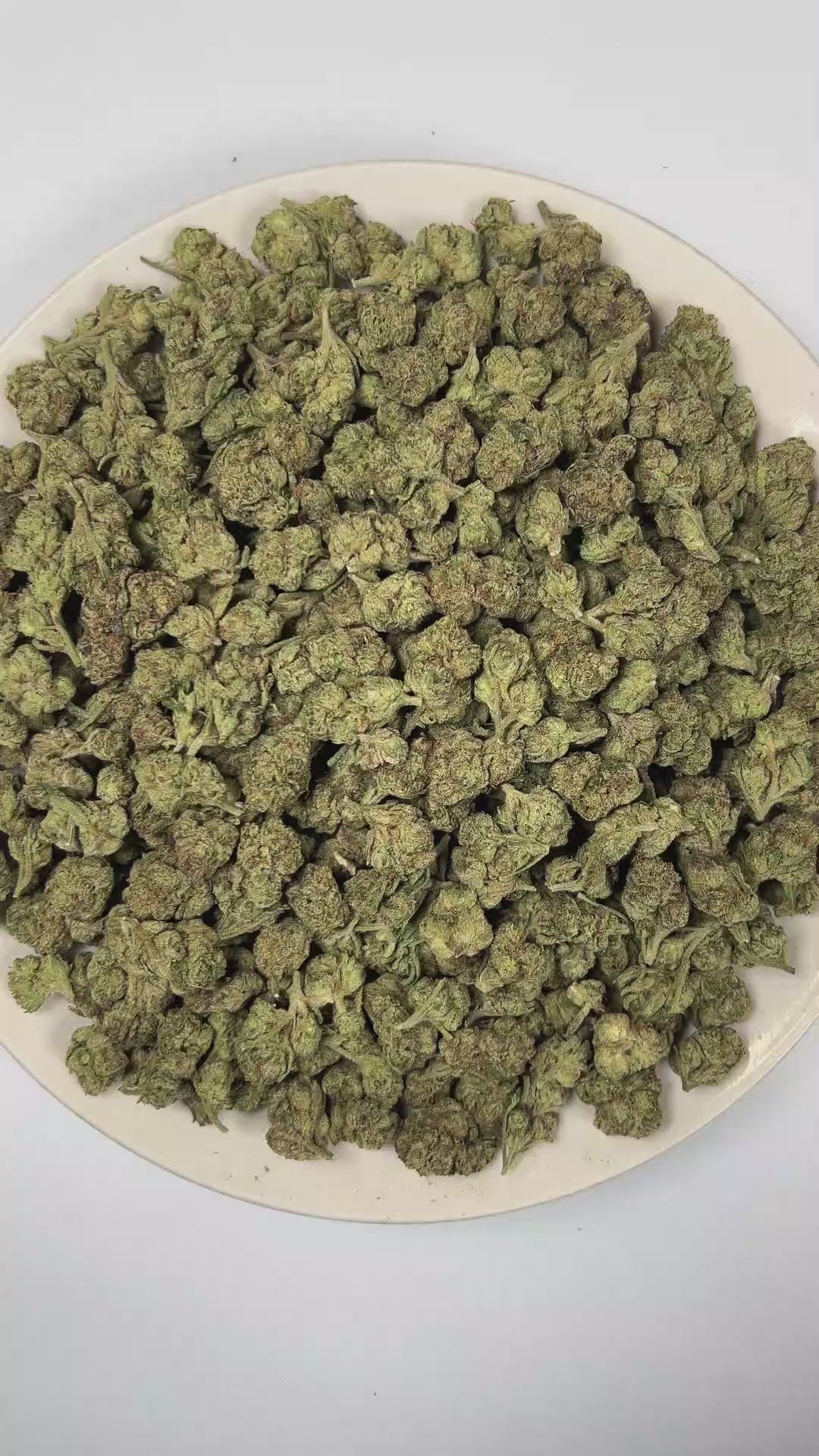 PUFFY Gumbo Runtz (smalls) is an indica-dominant hybrid THCa strain with genetics that have yet to be publicly revealed, leaving its true lineage unknown. The aroma opens with sweet candy notes, followed by pungent fuel undertones and a bold, lingering gassy finish. Visually, dense forest green buds with purple hues and fiery orange pistils are coated in sticky trichomes. Consumers often report an uplifting wave of euphoria that gradually settles into deep relaxation, promoting a profound sense of calm, str