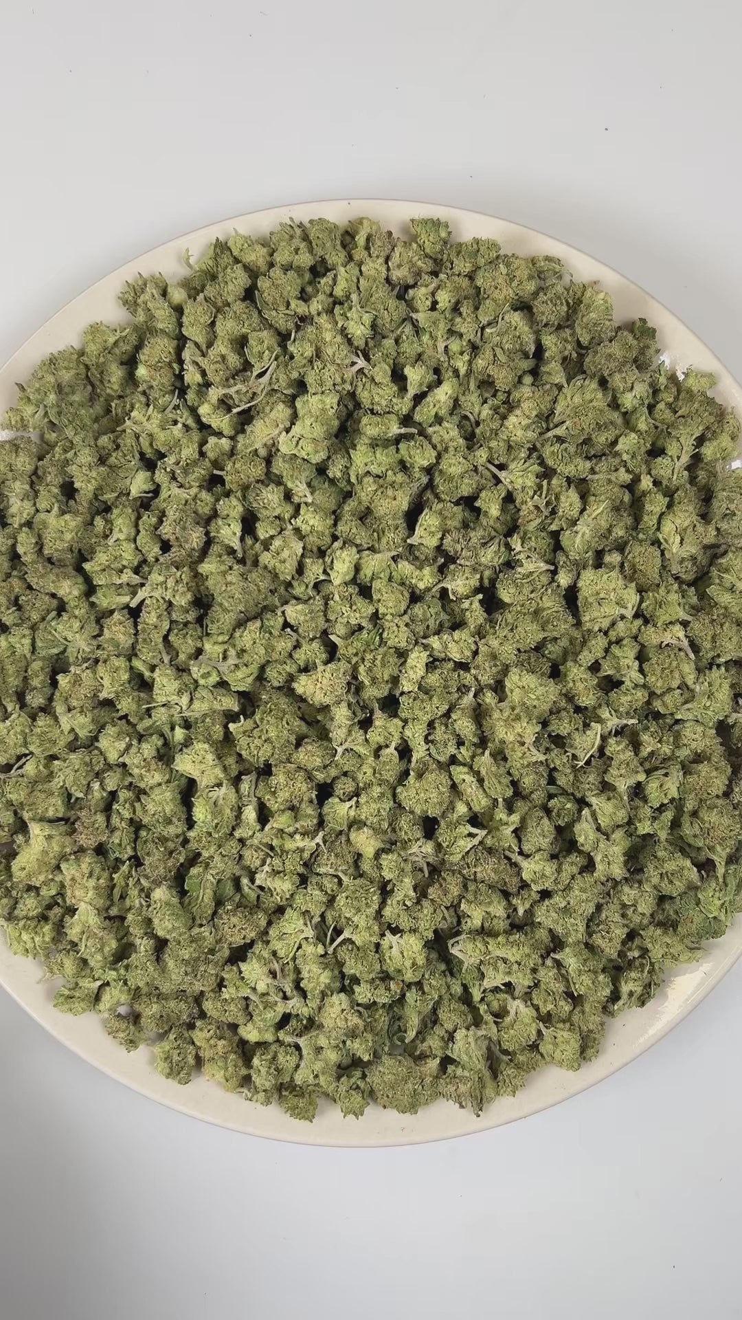 PUFFY Bubblegum (smalls) is an indica-dominant hybrid THCa strain crafted from the nostalgic Indiana Bubble Gum genetics and a mysterious indica lineage. The aroma delights the senses with a playful blend of candy, bubblegum, and sweet notes. Visually, dense spring green buds with purple hues and fiery orange pistils are coated in sticky trichomes. Consumers often report feeling euphoric, blissful, and deeply relaxed, accompanied by an uplifted mood along with a spark of creativity and light cerebral stimul