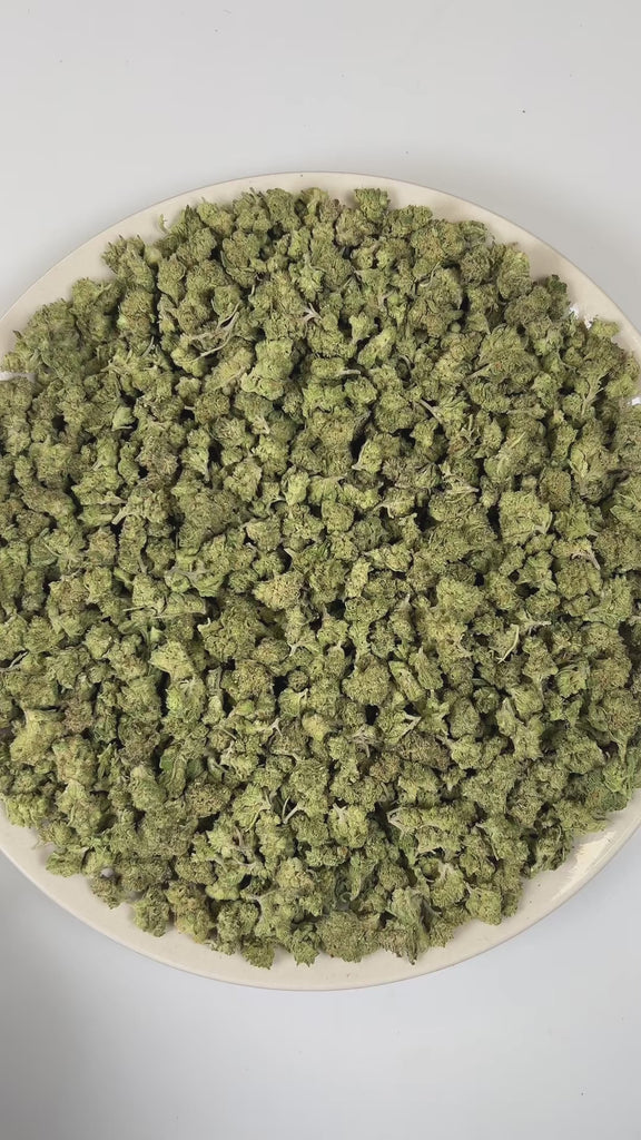 PUFFY Bubblegum (smalls) is an indica-dominant hybrid THCa strain crafted from the nostalgic Indiana Bubble Gum genetics and a mysterious indica lineage. The aroma delights the senses with a playful blend of candy, bubblegum, and sweet notes. Visually, dense spring green buds with purple hues and fiery orange pistils are coated in sticky trichomes. Consumers often report feeling euphoric, blissful, and deeply relaxed, accompanied by an uplifted mood along with a spark of creativity and light cerebral stimul