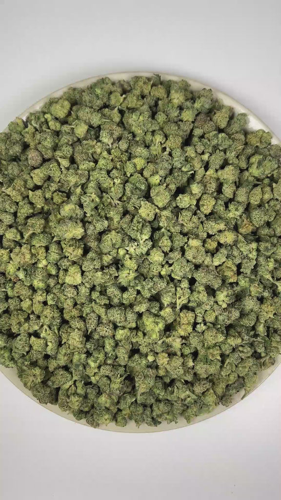 PUFFY Curelato (smalls) is a balanced hybrid THCa strain bred from the exceptional union of Gelato 33 and unconfirmed genetic lineage. The aroma opens with a delightful blend of fruity sweetness, creamy undertones, and rich berry notes. Visually, dense forest green buds with purple hues and fiery orange pistils are coated in sticky trichomes. Consumers often report feeling euphoric, uplifted, and energized, with a positive boost in mood and motivation.