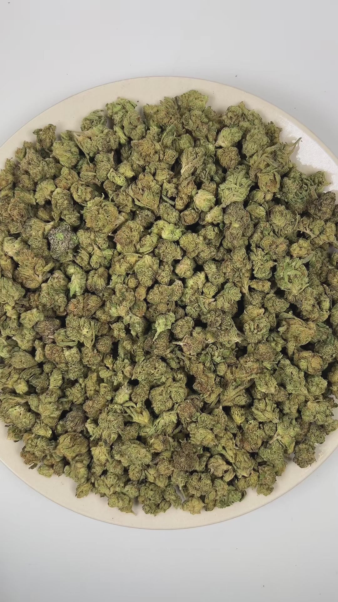 PUFFY Pink Runtz (smalls) is a well-balanced hybrid THCa strain derived from the skillfully blended cross of Original Z and Gelato. Aroma is a vibrant fusion of candied sweetness, bold gassy fuel undertones, and crisp, resinous pine. Visually, dense deep forest green buds with purple hues and fiery orange pistils are coated in sticky trichomes. Consumers frequently describe the experience as starting with a cerebral rush that brings a wave of euphoria and an uplifted mood, gradually transitioning into a cal
