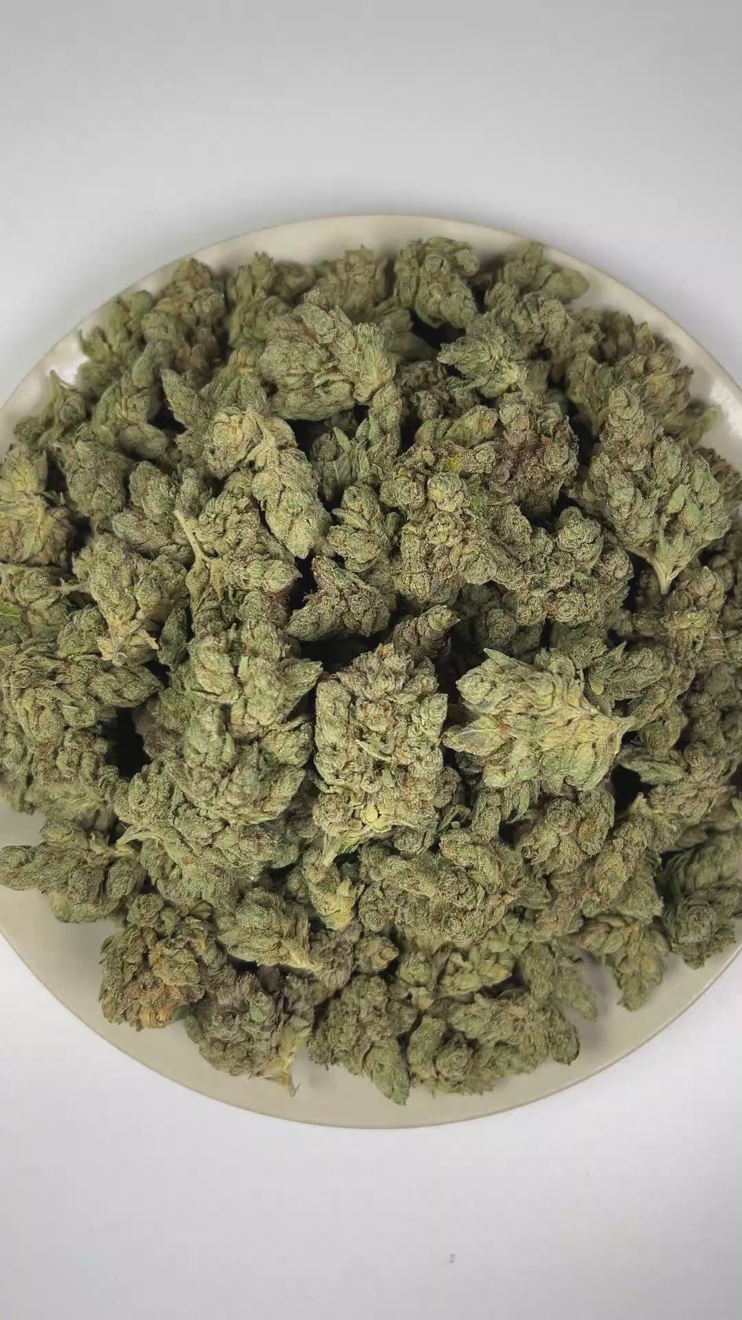 PUFFY Empire OG is a lush indica THCa strain crafted from the masterful pairing of Candy Kush and OG Kush. The aroma blends warm, woody notes with fresh herbal scents and a sharp, peppery finish. Visually, dense forest green buds with purple hues and fiery orange pistils are coated in sticky trichomes. Consumers often report euphoric sensations and soothing relaxation, accompanied by a calming sense of ease that helps melt away stress and tension.