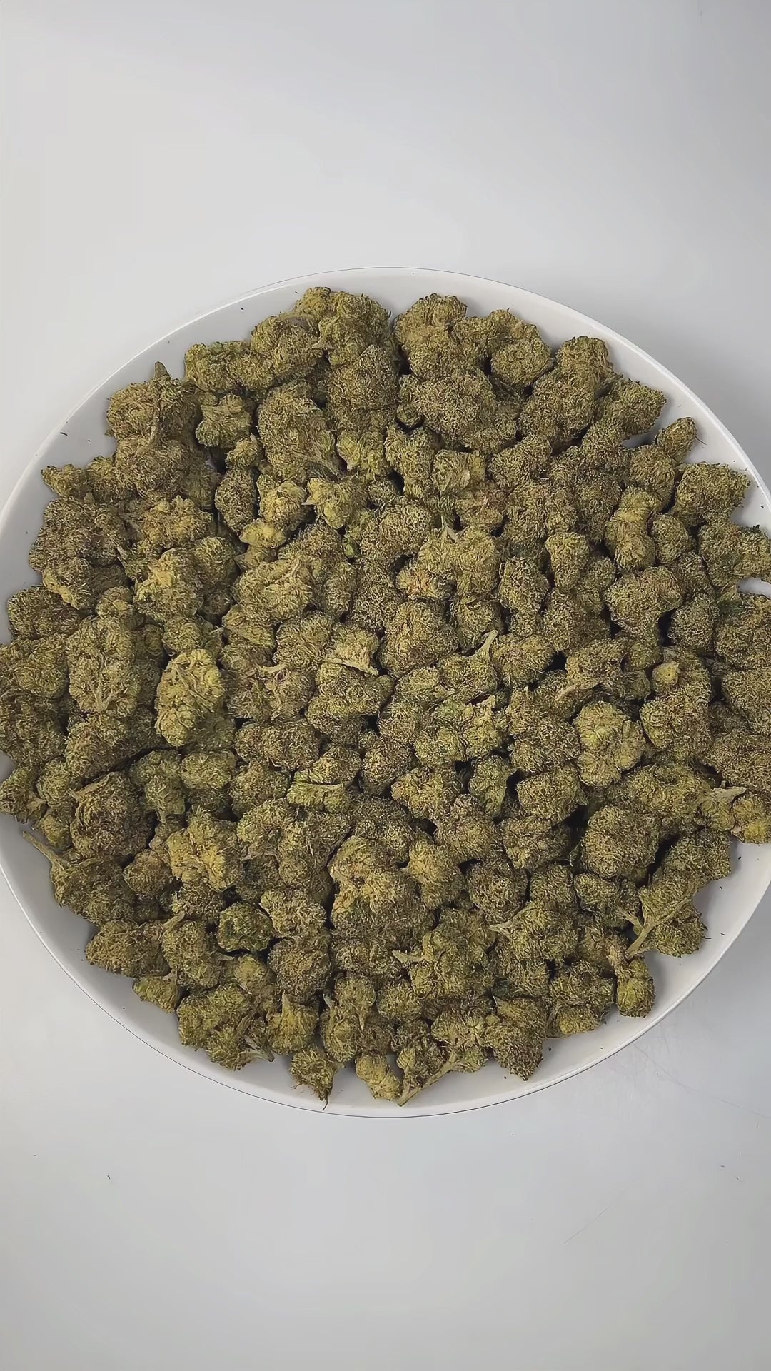 PUFFY Strawberry Slush is a potent hybrid THCa strain born from the powerful cross between XJ13 and Strawnana. Aroma opens with a vibrant burst of sweet, ripe berries, layered with a sugary richness and finished by a bold, gassy undertone that adds depth and intensity. Visually, dense green buds with purple hues and fiery orange pistils are coated in sticky trichomes. Consumers often report uplifting, energetic, and creative effects, bringing a relaxed, euphoric, and calming body feel, with many experiencin
