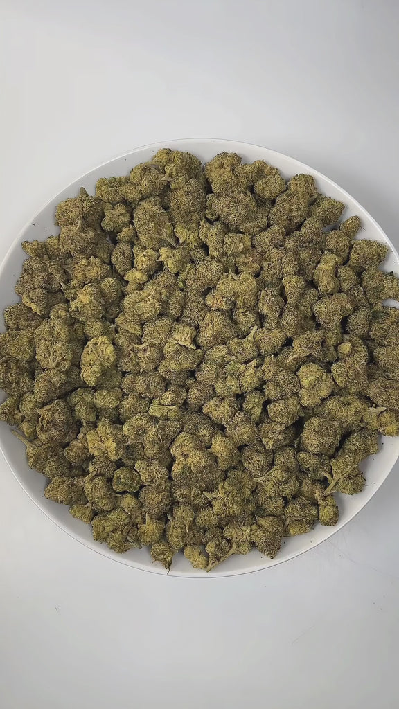 PUFFY Strawberry Slush is a potent hybrid THCa strain born from the powerful cross between XJ13 and Strawnana. Aroma opens with a vibrant burst of sweet, ripe berries, layered with a sugary richness and finished by a bold, gassy undertone that adds depth and intensity. Visually, dense green buds with purple hues and fiery orange pistils are coated in sticky trichomes. Consumers often report uplifting, energetic, and creative effects, bringing a relaxed, euphoric, and calming body feel, with many experiencin