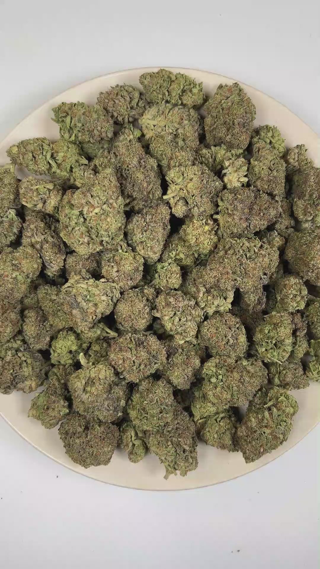 PUFFY Ice Cream Cake is an Indica-dominant hybrid THCa strain expertly curated from the flavorful pairing of Wedding Cake and Gelato 33. The aroma is rich and creamy, accented by smooth vanilla notes and a naturally sweet finish. Visually, its buds are dense and chunky, showcasing a vibrant mix of green and purple hues with occasional touches of lavender, accented by fiery orange pistils. Consumers often report an experience that begins with a euphoric, uplifting cerebral high, gradually easing into a deep,