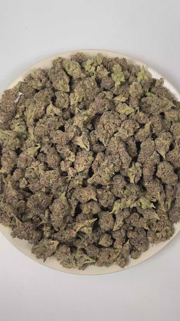 PUFFY Glitter Bomb is an indica-dominant hybrid THCa strain born from the flavorful cross of Grape Gas #10 and OGKB Blueberry Headband. The aroma unfolds with a vibrant burst of ripe berries layered over bright, zesty citrus notes, rounded out by a deep, gassy undertone. Visually, the buds are dense and deep forest green with striking purple hues, bright orange pistils, and a heavy coating of sparkling white trichomes. Consumers report a bright rush of cerebral uplift that gently settles into a soothing, fu