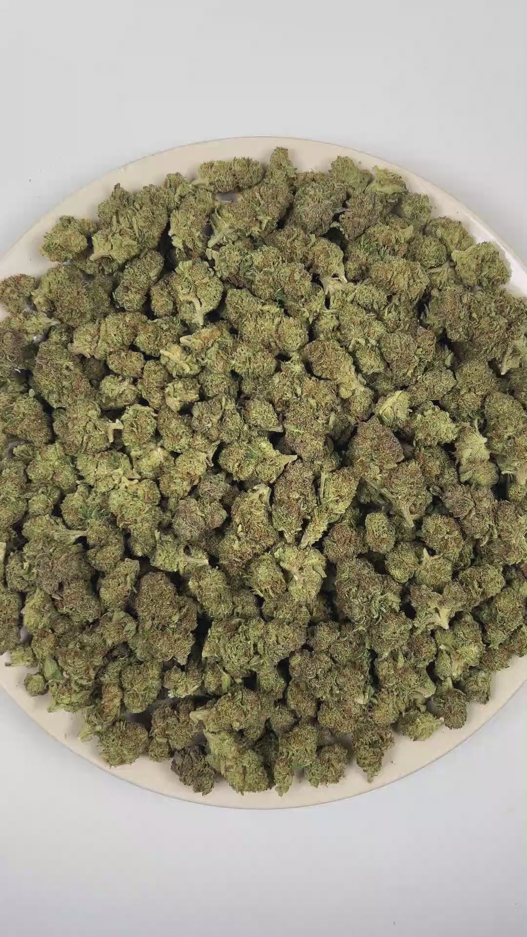 PUFFY 24K Gold is an indica-dominant hybrid THCa strain formulated through the selective pairing of Kosher Kush and Tangie. The aroma features a vibrant blend of zesty grapefruit, sweet bubble gum, and rich fruity notes. Visually, dense forest green buds with purple hues and fiery orange pistils are coated in sticky trichomes. Consumers often report a euphoric and uplifting cerebral buzz that enhances mood and creativity before easing into a gentle, soothing body relaxation, potentially helping to ease stre