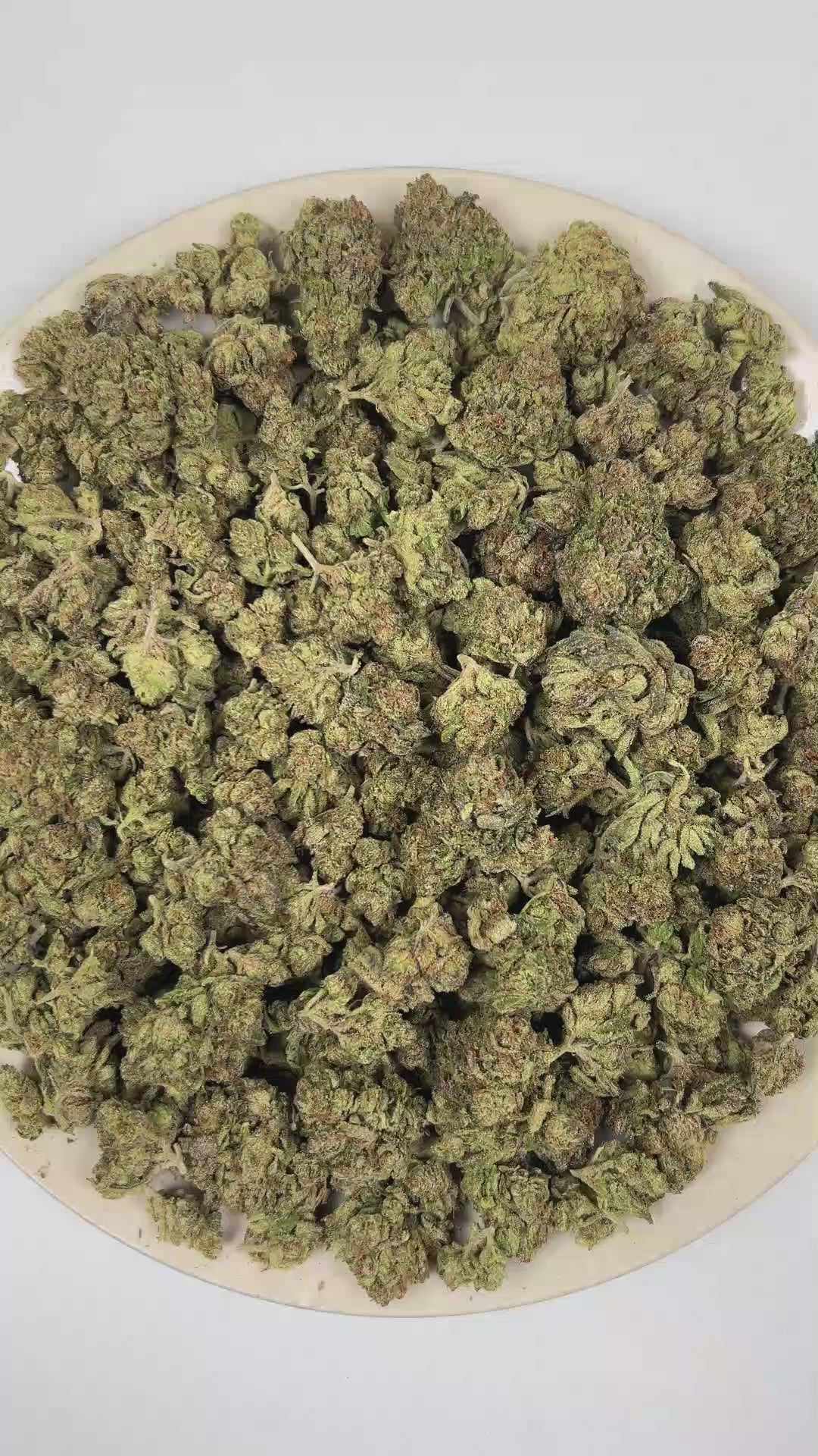 PUFFY Cherry Blossom is an indica THCa strain created through the masterful blending of Cherry Pie and Harle-Tsu. The aroma opens with sweet ripe cherries, smooth vanilla cream, and bold fuel-like undertones. Visually, dense forest green buds with purple hues and fiery orange pistils are coated in sticky trichomes. Consumers often report a euphoric, uplifting, and energizing experience that promotes mental clarity and focus while gradually settling into a deeply relaxing finish. 