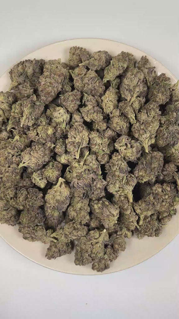 PUFFY Modified Grape is a balanced hybrid THCa strain crafted from the exceptional cross of GMO and Purple Punch. The aroma opens with a luscious blend of ripe berries, sweet honey, and vibrant fruit notes. Visually, dense forest green buds with purple hues and fiery orange pistils are coated in sticky trichomes. Consumers often report a lifting wave of euphoria that elevates mood, sparks creativity, encourages warm and friendly social interactions, and promotes a relaxing experience ideal for leisurely and