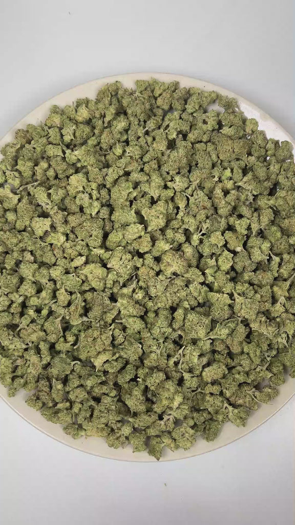 PUFFY Black Cherry (smalls) is an indica hybrid THCa strain derived from a renowned genetic cross of Ken’s OG and Granddaddy Purple. The aroma is a complex blend of herbal freshness layered with gassy, fuel-like sharpness and deep cedar undertones. Visually, dense forest green buds with purple hues and fiery orange pistils are coated in sticky trichomes. Consumers often report an uplifting euphoric experience accompanied by a deep sense of relaxation and a pleasantly positive, easygoing mood. 