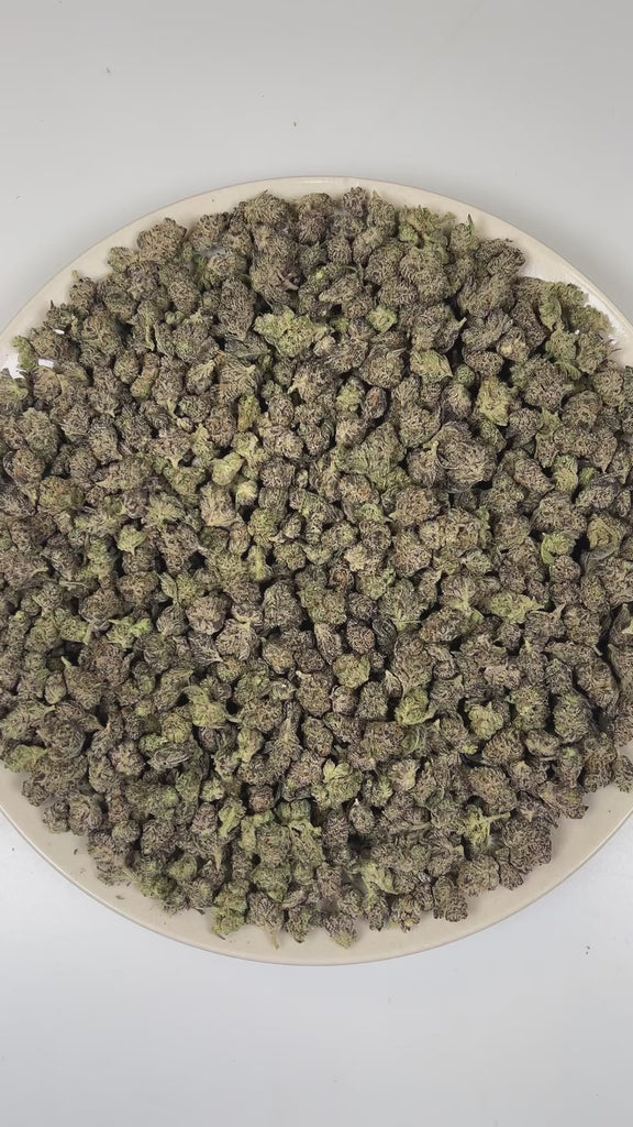 PUFFY Cherry Biscotti (smalls) is a balanced hybrid THCa strain crafted from the decadent pairing of  Biscotti and Cherry Pie. The aroma is a vibrant fusion of ripe cherries and juicy grape, layered with a sweet, candy-like finish. Visually, dense forest green buds with purple hues and fiery orange pistils are coated in sticky trichomes. Consumers often report an initial euphoric and lighthearted uplift that enhances talkativeness and mood, gradually transitioning into a calm, relaxed state that gently soot