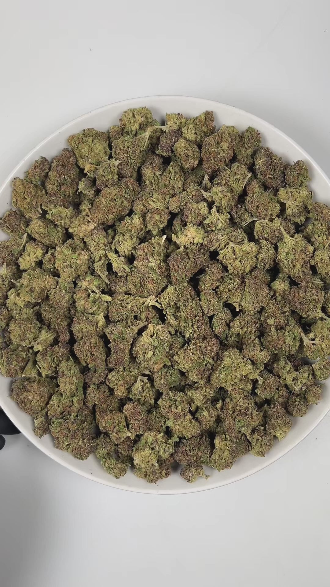 PUFFY Nimbus Snacks is a sativa-dominant hybrid THCa strain, born from the legendary cross of Durban Mints x Girl Scout Cookies . The aroma bursts with sharp notes of chemicals and diesel, complemented by a refreshing hint of eucalyptus and mint. Visually, dense green buds with purple hues and fiery orange pistils are coated in sticky trichomes. Consumers often report experiencing a euphoric sense of well-being, accompanied by feelings of happiness and uplifted spirits, while also feeling energized, focused