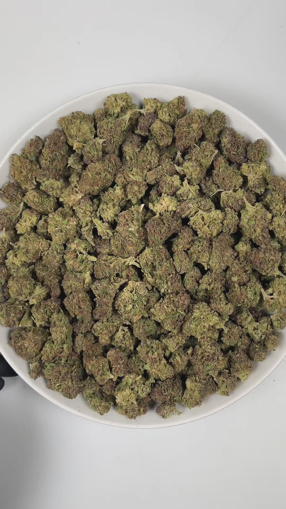 PUFFY Nimbus Snacks is a sativa-dominant hybrid THCa strain, born from the legendary cross of Durban Mints x Girl Scout Cookies . The aroma bursts with sharp notes of chemicals and diesel, complemented by a refreshing hint of eucalyptus and mint. Visually, dense green buds with purple hues and fiery orange pistils are coated in sticky trichomes. Consumers often report experiencing a euphoric sense of well-being, accompanied by feelings of happiness and uplifted spirits, while also feeling energized, focused