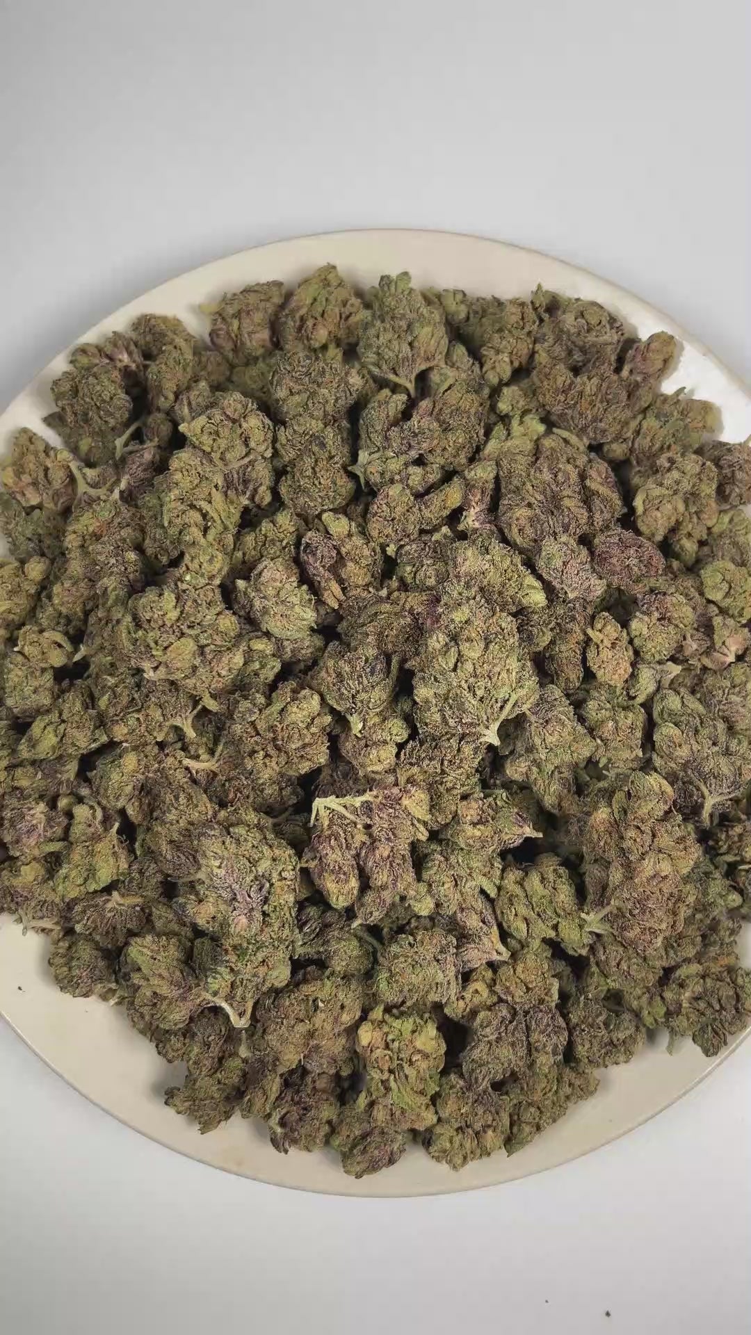 PUFFY Sangria is a balanced hybrid THCa strain formed through the strategic blending of Querkle and Vintner’s Moonshine. The aroma is a bold blend of fuel and ripe fruit, layered with a sweet, juicy finish of berries. Visually, dense forest green buds with purple hues and fiery orange pistils are coated in sticky trichomes. Consumers often report feeling euphoric and uplifted, accompanied by a calming sense of relaxation. 