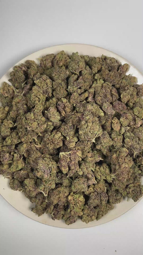 PUFFY Sangria is a balanced hybrid THCa strain formed through the strategic blending of Querkle and Vintner’s Moonshine. The aroma is a bold blend of fuel and ripe fruit, layered with a sweet, juicy finish of berries. Visually, dense forest green buds with purple hues and fiery orange pistils are coated in sticky trichomes. Consumers often report feeling euphoric and uplifted, accompanied by a calming sense of relaxation. 