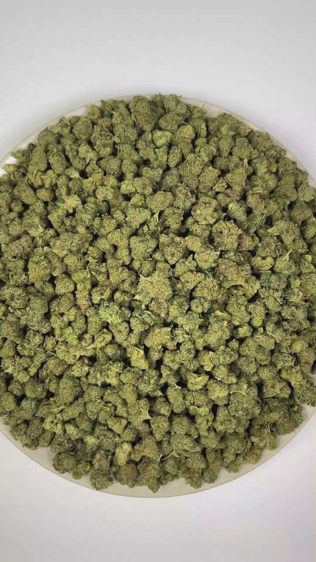 PUFFY Super Lemon OG (smalls) is an indica-dominant hybrid THCa strain crafted through the distinctive blend of Super Lemon Haze and Captain Krypt OG. The aroma is a zesty blend of bright lime, pungent gassy notes, and warm, savory spices. Visually, dense forest green buds with purple hues and fiery orange pistils are coated in sticky trichomes. Consumers often report a euphoric and uplifting experience, complemented by energizing effects and heightened creativity.