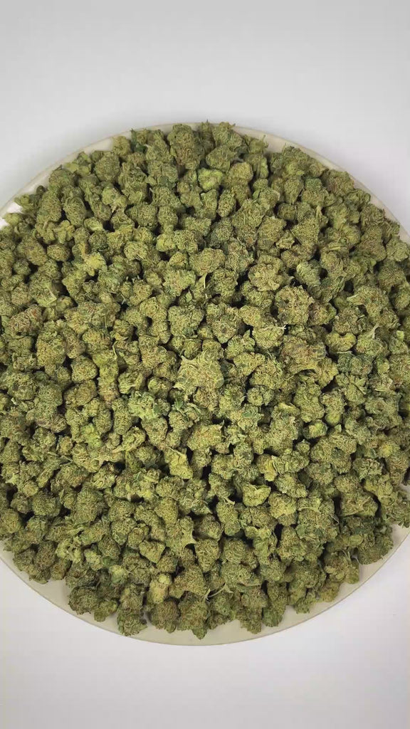PUFFY Super Lemon OG (smalls) is an indica-dominant hybrid THCa strain crafted through the distinctive blend of Super Lemon Haze and Captain Krypt OG. The aroma is a zesty blend of bright lime, pungent gassy notes, and warm, savory spices. Visually, dense forest green buds with purple hues and fiery orange pistils are coated in sticky trichomes. Consumers often report a euphoric and uplifting experience, complemented by energizing effects and heightened creativity.