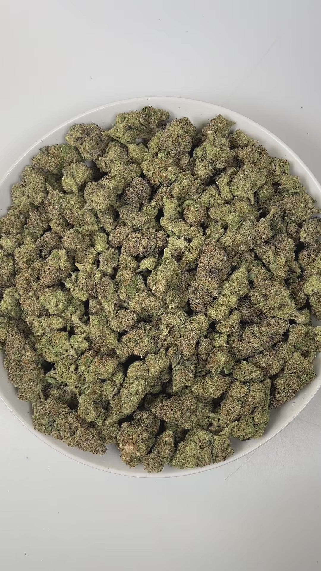 PUFFY TK41 is a balanced hybrid THCa strain, born from the renowned cross of Triangle Kush × Gelato #41. The aroma opens with a rich, creamy sweetness, layered with warm, inviting spices and a subtle hint of smooth vanilla that lingers gently in the senses. Visually, dense bright green buds with purple hues and fiery orange pistils are coated in sticky trichomes. Consumers often report a combination of tingly sensations, deep relaxation, and uplifting euphoria, describing an experience that soothes the body
