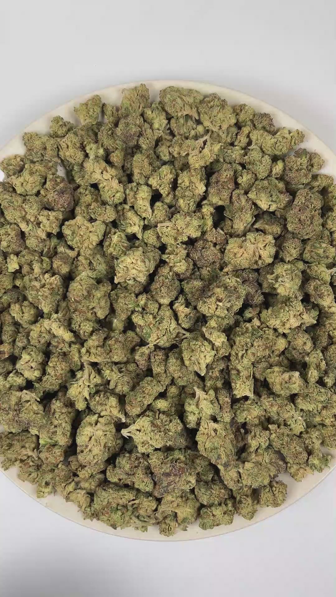 Purple Octane THCa Flower (Indoor) (Indica Hybrid) – 3