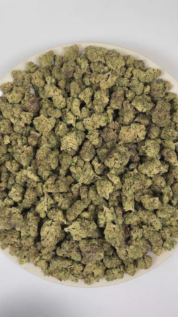 Purple Octane THCa Flower (Indoor) (Indica Hybrid) – 3