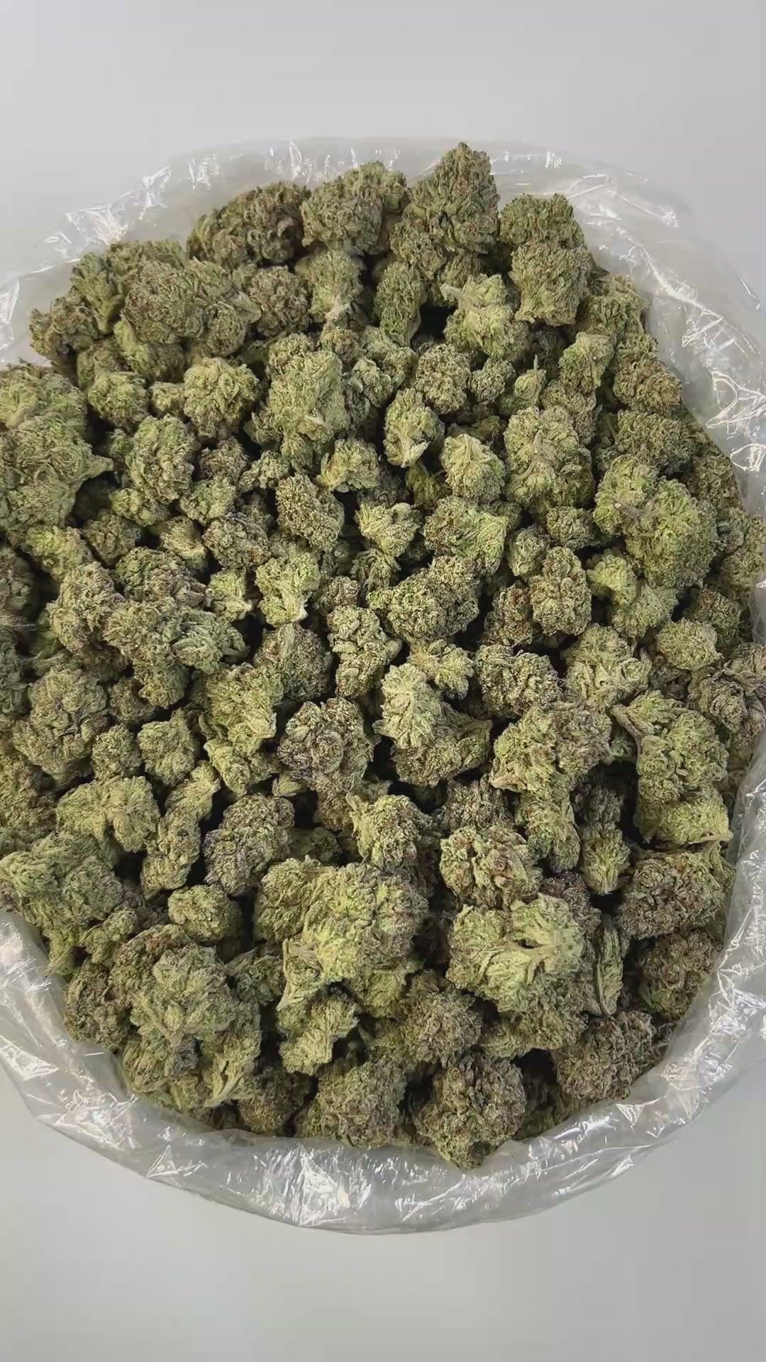 PUFFY Bubblegum is a premium, balanced hybrid THCa strain bred from the classic Indiana Bubblegum and an unknown indica, offering a unique blend of effects and sensory appeal. It boasts a sweet, candy-like flavor layered with fruity undertones, perfectly complemented by a gassy, earthy aroma. Visually, buds are rounded and display light to medium green hues, accented with vibrant pink or orange pistils, making them as eye-catching as they are enjoyable. Consumers often report a euphoric and uplifted mood, g