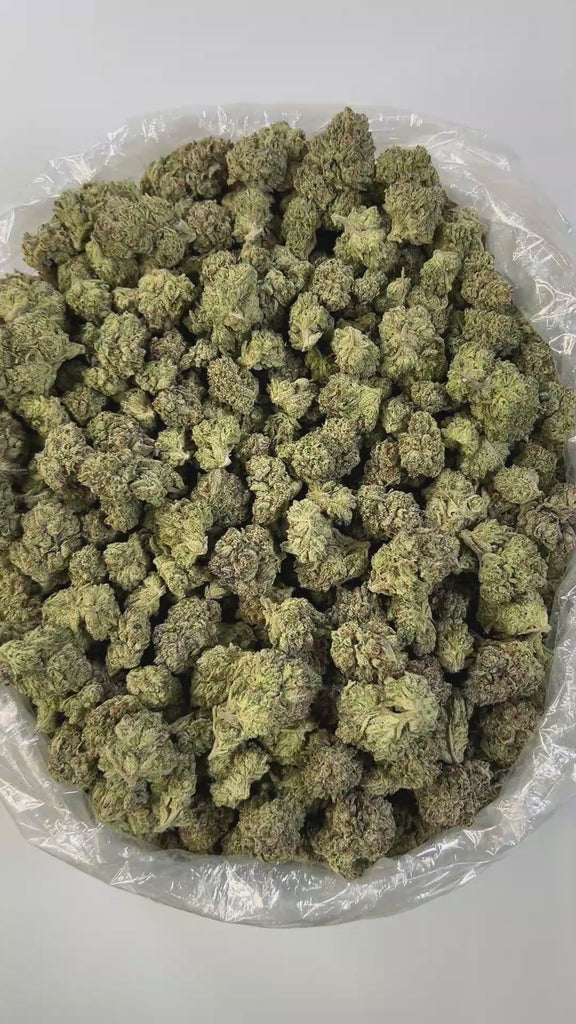 PUFFY Bubblegum is a premium, balanced hybrid THCa strain bred from the classic Indiana Bubblegum and an unknown indica, offering a unique blend of effects and sensory appeal. It boasts a sweet, candy-like flavor layered with fruity undertones, perfectly complemented by a gassy, earthy aroma. Visually, buds are rounded and display light to medium green hues, accented with vibrant pink or orange pistils, making them as eye-catching as they are enjoyable. Consumers often report a euphoric and uplifted mood, g