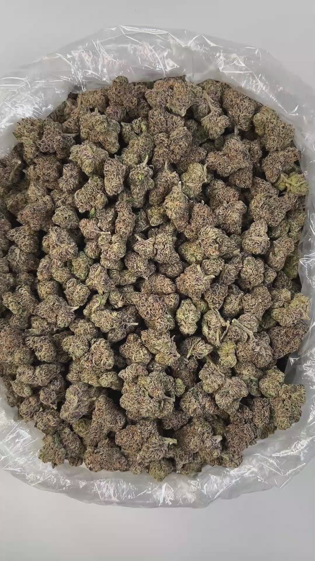 PUFFY Cherry Lemonade is a hybrid THCa strain born from the flavorful cross between Cherry Pie OG and Jack the Ripper. The aroma is a vibrant fusion of sweet cherries and zesty lemons, complemented by delicate floral notes and a sharp chemical edge that gives it a bold and memorable finish. Visually, the buds are striking primarily forest green with deep shades of dark green and rich purple hues. Consumers often describe the experience as uplifting and energizing, promoting creativity and talkativeness. Des