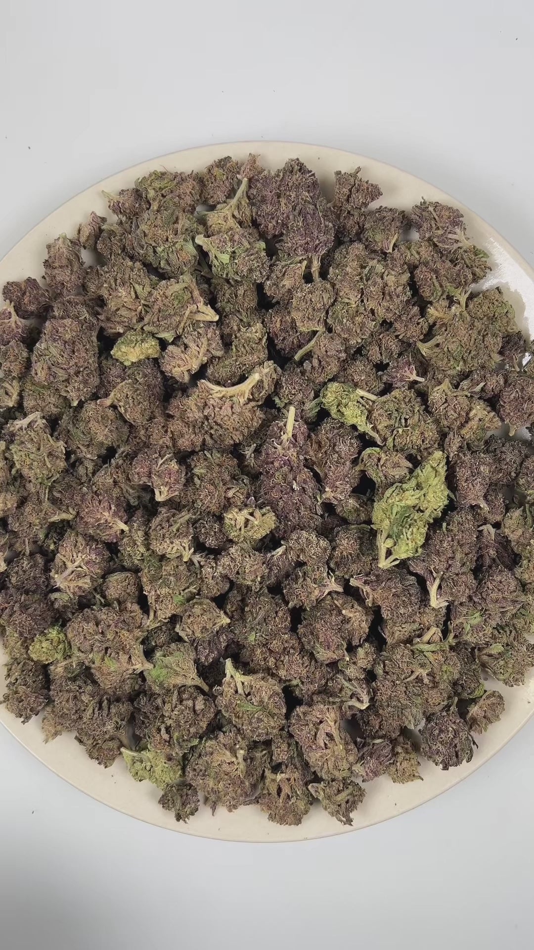 PUFFY Purple Dank is a balanced hybrid THCa strain commonly bred from classic purple indica genetics such as Urkle, Kush, and Granddaddy Purple. The aroma opens with rich woody notes, layered with warm musky undertones and a smooth herbal finish. Visually, dense forest green buds with purple hues and fiery orange pistils are coated in sticky trichomes. Consumers often report a deeply euphoric experience paired with sharp mental focus and a soothing, full-body sense of physical calm. 