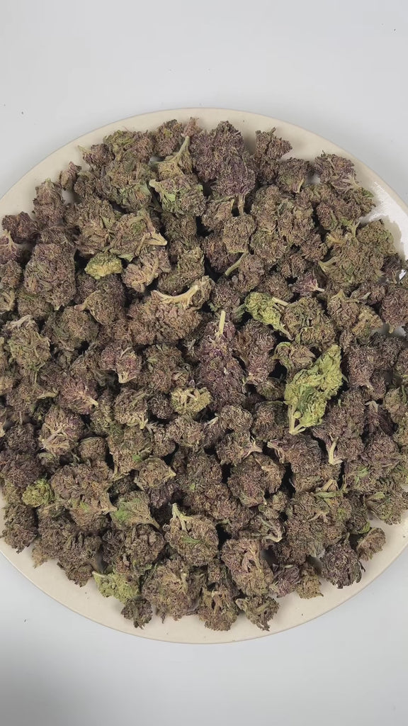 PUFFY Purple Dank is a balanced hybrid THCa strain commonly bred from classic purple indica genetics such as Urkle, Kush, and Granddaddy Purple. The aroma opens with rich woody notes, layered with warm musky undertones and a smooth herbal finish. Visually, dense forest green buds with purple hues and fiery orange pistils are coated in sticky trichomes. Consumers often report a deeply euphoric experience paired with sharp mental focus and a soothing, full-body sense of physical calm. 