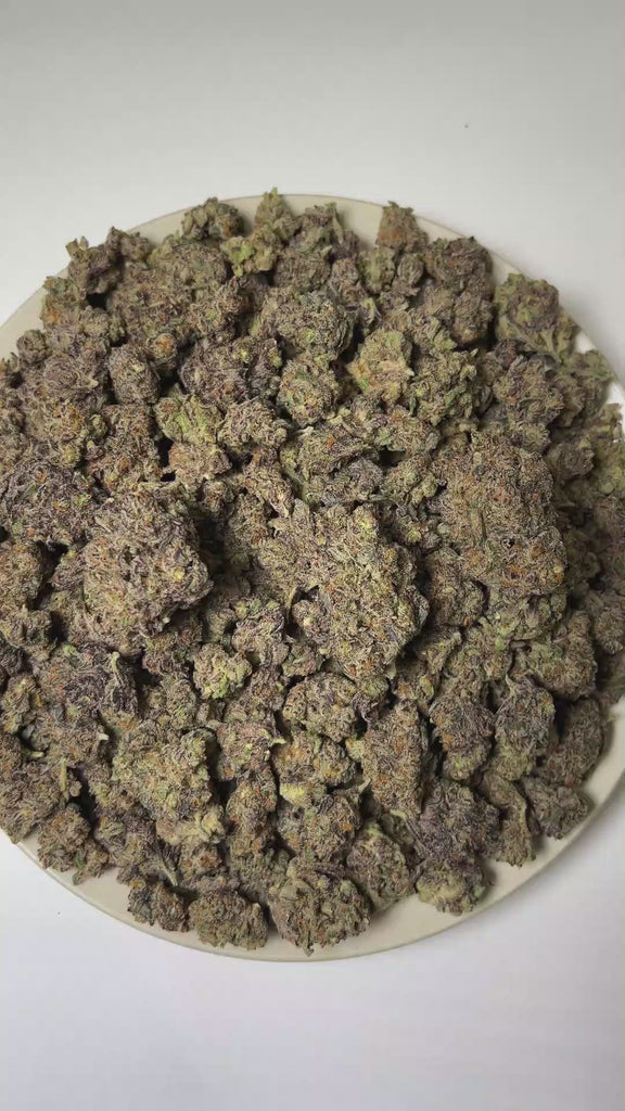 PUFFY Mango Habanero is an indica-dominant hybrid THCa strain signature SFV OG phenotype cultivated from The Cali Connection’s distinguished genetic heritage. The aroma is an elevated fusion of ripe mango, lush tropical fruit, and rich fuel notes. Visually, dense deep forest green buds with purple hues and fiery orange pistils are coated in sticky trichomes. Consumers often report a euphoric and energized experience with enhanced creativity, clear focus, and a relaxed sense of ease.
