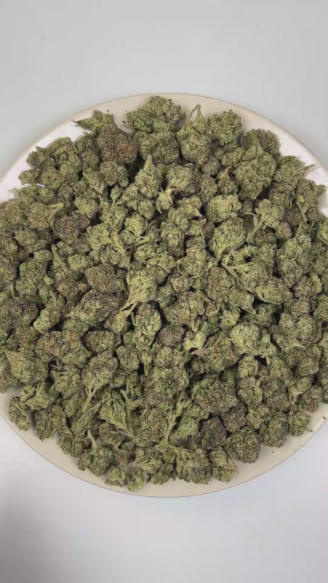 PUFFY Blue Candy is a balanced hybrid THCa strain, crafted from the flavorful union of Blueberry and Cotton Candy Kush. The aroma is intensely gassy and pungent, layered with sharp chemical undertones that create a bold, fuel-forward scent profile. Visually, dense forest green buds with purple hues and fiery orange pistils are coated in sticky trichomes. Consumers often report a euphoric and uplifting cerebral buzz that sparks creativity and conversation, paired with a deeply relaxing and calming body effec