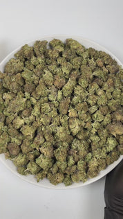 PUFFY Atomic is an indica-dominant hybrid THCa strain created by crossing Chemdawg and OG Kush, then further refined with THC Bomb. The aroma bursts with a sharp, fuel-like intensity, layered with pungent notes and a zesty hint of fresh lime. Visually, the buds are dense and dark forest-green, accented by vibrant orange pistils and a thick coating of glistening trichomes. Consumers often describe an initial wave of uplifting, euphoric cerebral effects that quickly elevate mood and enhance focus, gradually t
