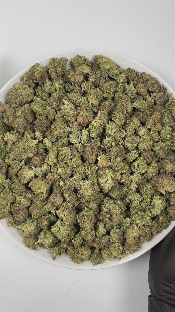 PUFFY Atomic is an indica-dominant hybrid THCa strain created by crossing Chemdawg and OG Kush, then further refined with THC Bomb. The aroma bursts with a sharp, fuel-like intensity, layered with pungent notes and a zesty hint of fresh lime. Visually, the buds are dense and dark forest-green, accented by vibrant orange pistils and a thick coating of glistening trichomes. Consumers often describe an initial wave of uplifting, euphoric cerebral effects that quickly elevate mood and enhance focus, gradually t