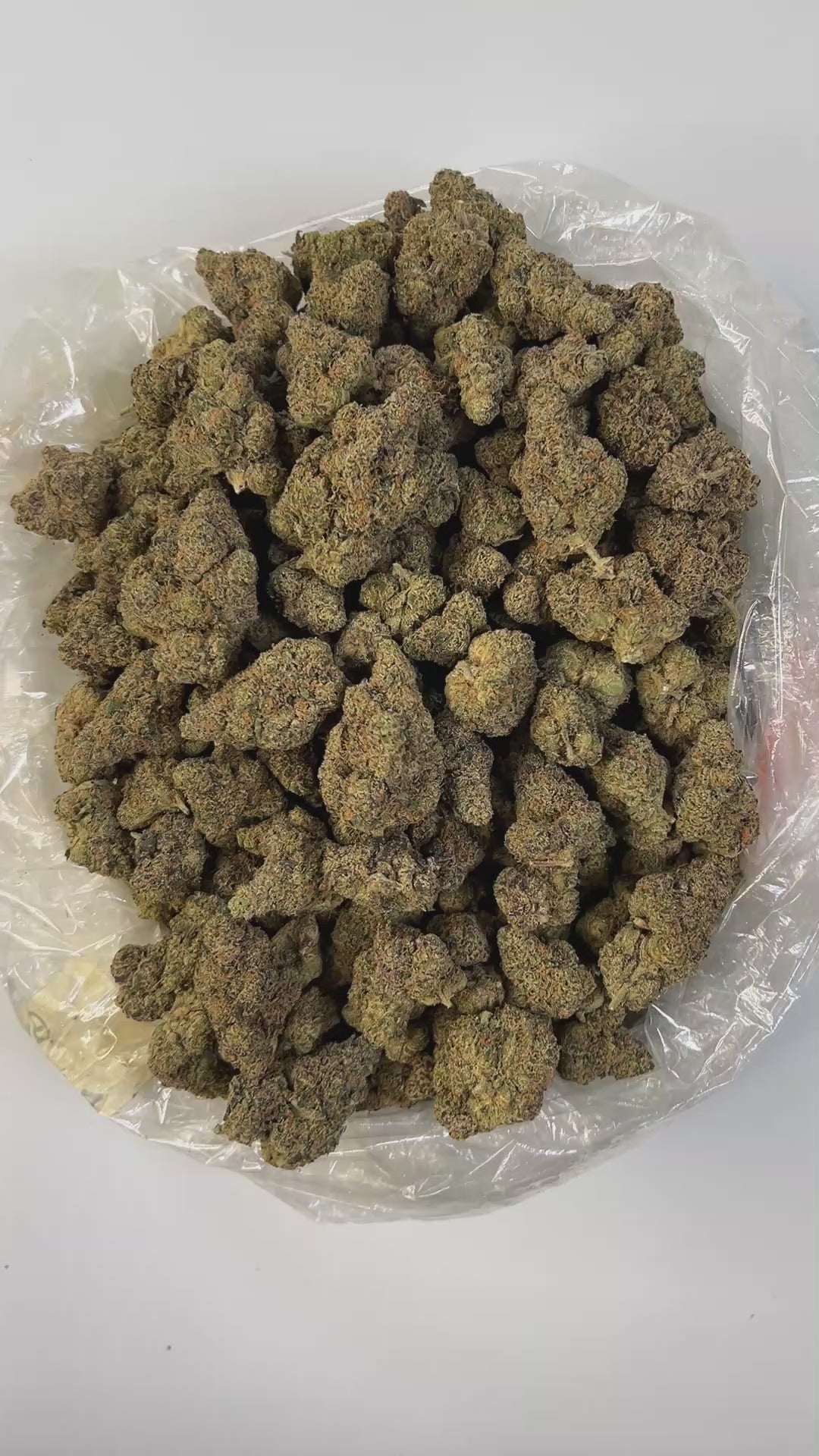 PUFFY GMZ is a potent hybrid THCa strain born from a cross between GMO Cookies and ZCubed (Zkittlez × OG Kush). This cultivar boasts a deep, rich aroma that blends earthy tones with smooth, smoky undertones, creating an inviting and grounding scent profile. Visually striking, its dense, chunky conical nugs range in color from mint to forest green, accented by vibrant orange pistils and a generous coating of milky white crystal trichomes. Consumers often report an intense wave of euphoria that gradually melt