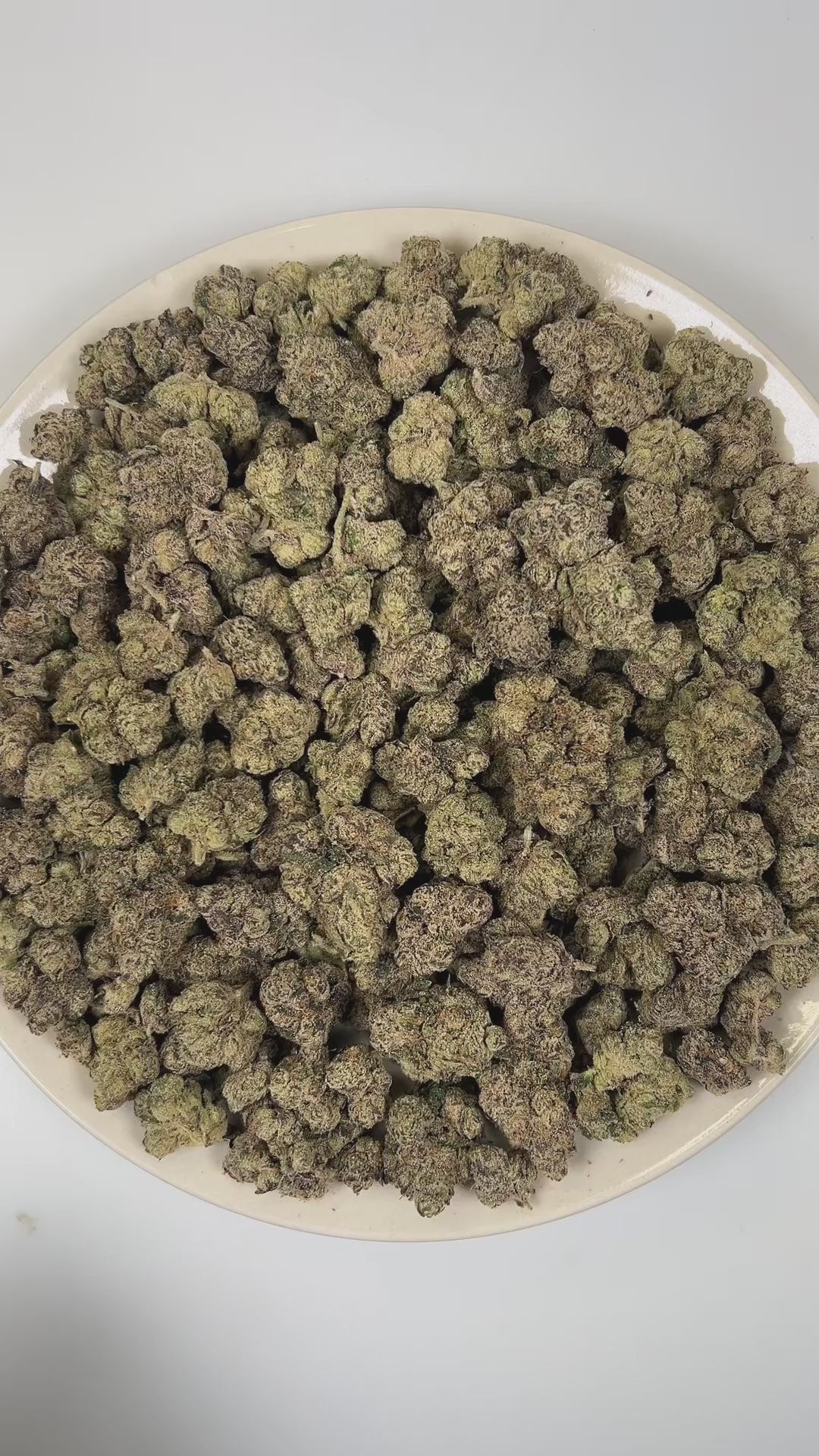PUFFY Pink Picasso is a balanced hybrid THCa strain hailing from the renowned cross of Candyland and OZ Kush. The aroma is a bold and intriguing blend of gassy, sweet candy, and sharp chemical notes. Visually, dense lush green buds with purple hues and fiery orange pistils are coated in sticky trichomes. Consumers often report feeling euphoric, creatively inspired, motivated, joyful, and uplifted, experiencing a bright and energizing mental boost.