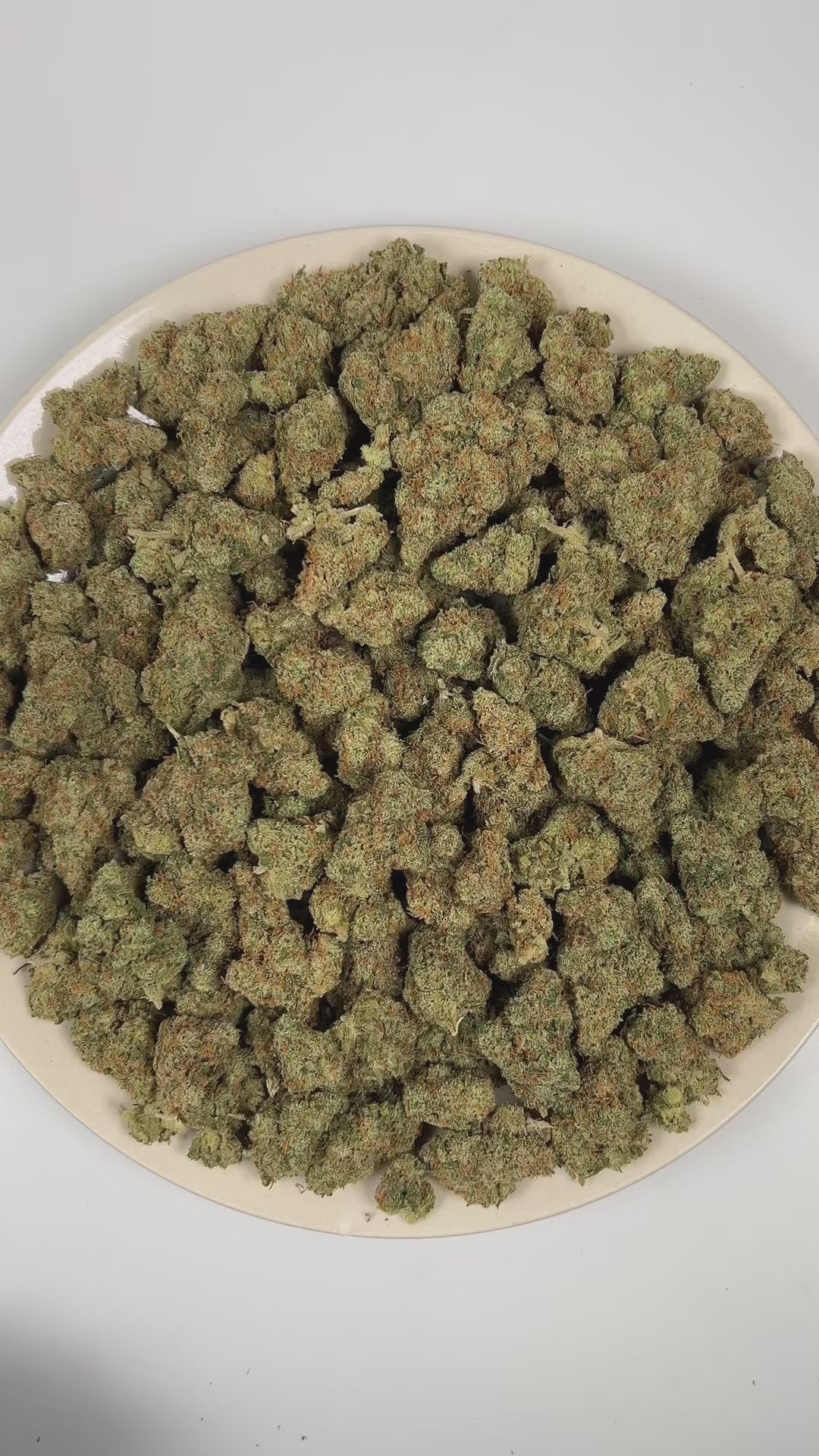 PUFFY Jack Herer is a sativa-dominant hybrid THCa strain, bred from a legendary three‑way genetic cross of Northern Lights #5, Shiva Skunk, and Haze. The aroma is bold and sharp, blending pungent ammonia notes with a bright citrus edge. Visually, dense green buds with purple hues and fiery orange pistils are coated in sticky trichomes. Consumers often report euphoric, energetic, focused, and uplifting sensations, along with potential relief from stress and anxiety and a noticeable boost in creativity and mo