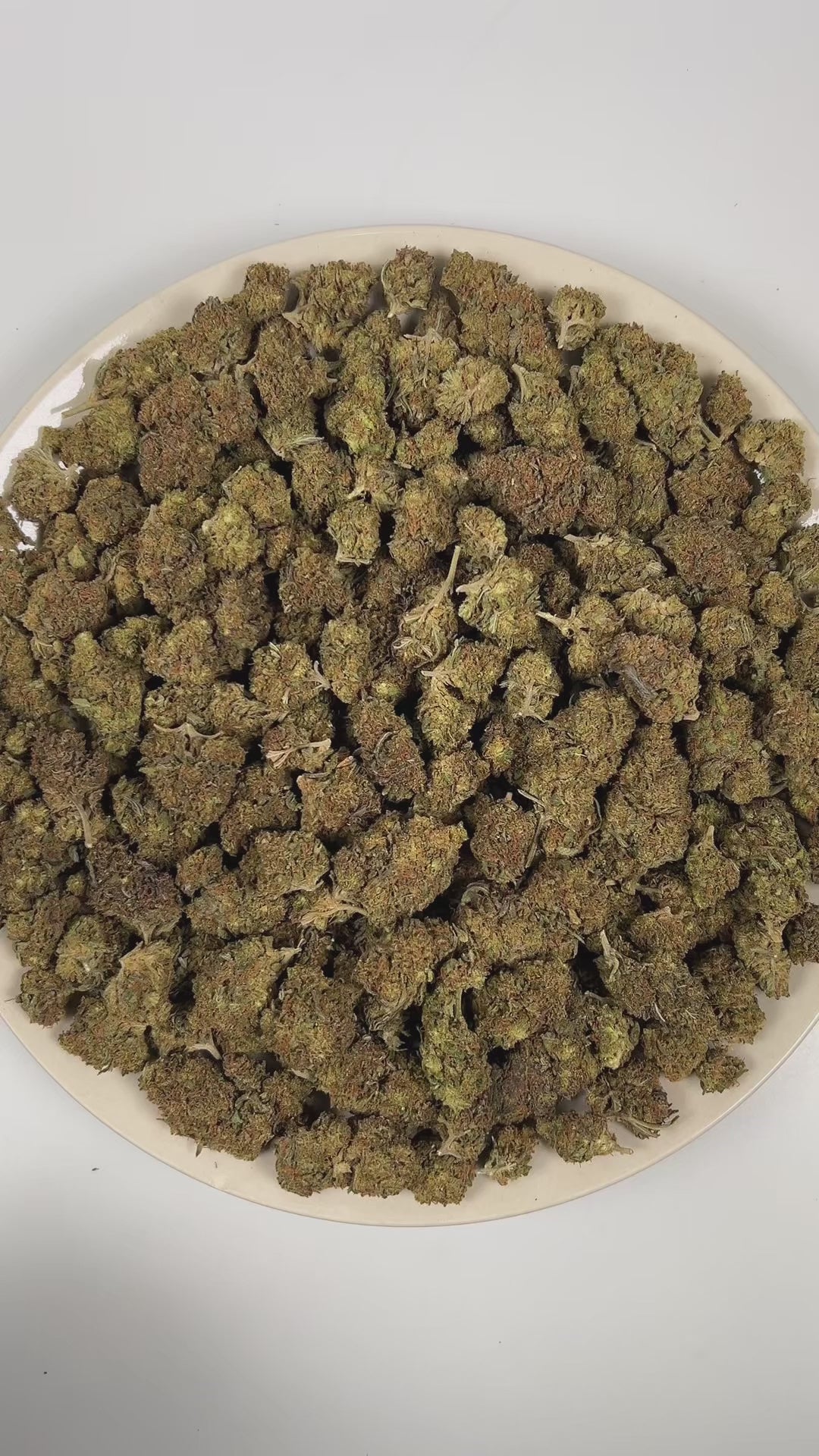 PUFFY Mango Dream is a sativa-dominant hybrid THCa strain meticulously blended from Mango and Blue Dream. The aroma blends tropical sweetness with sharp chemical notes and a bold diesel undertone. Visually, dense spring green buds with purple hues and fiery orange pistils are coated in sticky trichomes. Consumers often report euphoric effects accompanied by clear-headed focus, boosted energy, creative thinking, social confidence, talkative moods, and strong motivation.