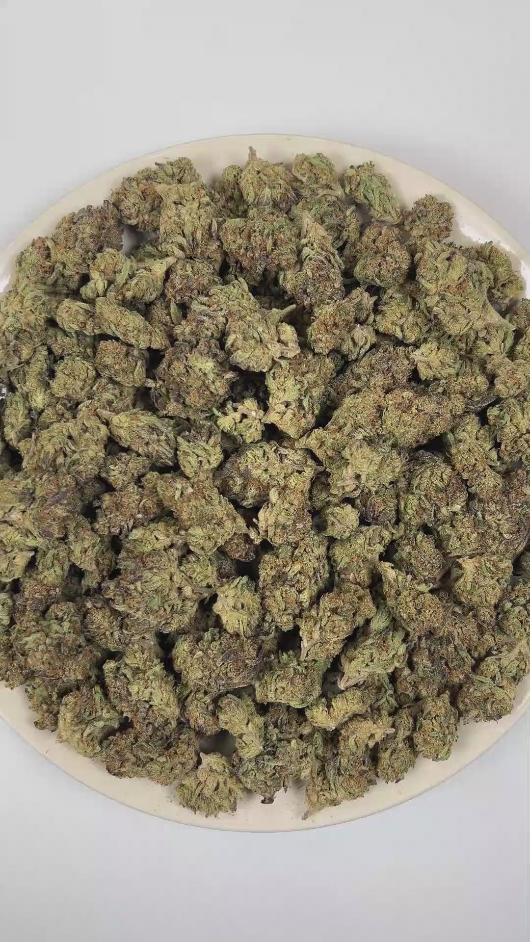 PUFFY Governmint Oasis is a balanced hybrid THCa strain formulated through the selective pairing of GMO and Gush Mints. The aroma is a bold blend of onions and garlic, delivering a distinctly pungent scent that’s both sharp and savory. Visually captivating, the buds feature a mix of rich forest green and vibrant purple shades, dusted with frosty white trichomes and highlighted by bold, crimson pistils. Consumers often report a euphoric mental uplift paired with a deeply relaxed body high and increased appet
