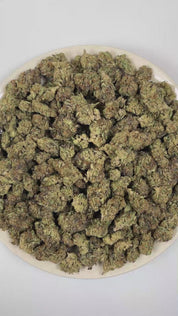 PUFFY Governmint Oasis is a balanced hybrid THCa strain formulated through the selective pairing of GMO and Gush Mints. The aroma is a bold blend of onions and garlic, delivering a distinctly pungent scent that’s both sharp and savory. Visually captivating, the buds feature a mix of rich forest green and vibrant purple shades, dusted with frosty white trichomes and highlighted by bold, crimson pistils. Consumers often report a euphoric mental uplift paired with a deeply relaxed body high and increased appet