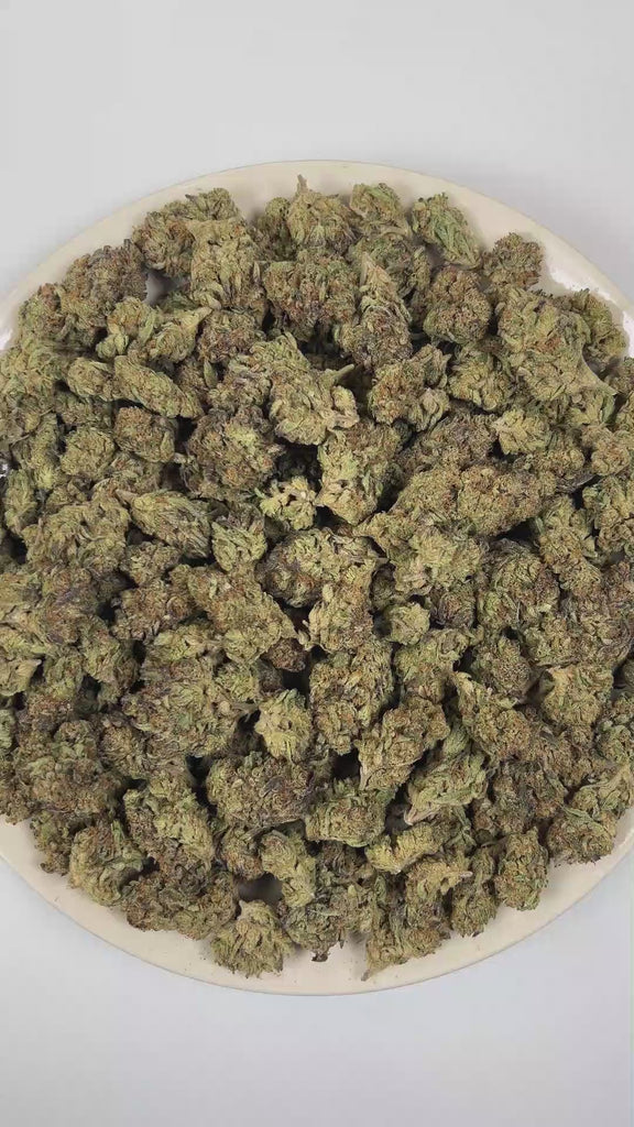 PUFFY Governmint Oasis is a balanced hybrid THCa strain formulated through the selective pairing of GMO and Gush Mints. The aroma is a bold blend of onions and garlic, delivering a distinctly pungent scent that’s both sharp and savory. Visually captivating, the buds feature a mix of rich forest green and vibrant purple shades, dusted with frosty white trichomes and highlighted by bold, crimson pistils. Consumers often report a euphoric mental uplift paired with a deeply relaxed body high and increased appet
