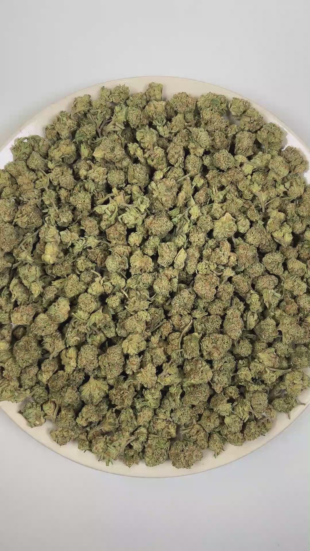 PUFFY Toad Venom (smalls) is a balanced hybrid THCa strain resulting from the strategic pairing of Animal Face and Sin Mintz. The aroma opens with a bold savory character layered with sharp onion notes and a pungent gassy finish. Visually, the buds are dense, with forest green and purple tones, bright orange pistils, and a frosty trichome coating. Consumers often report an initial euphoric uplift that enhances creativity, focus, and overall mood, followed by a smooth, soothing body relaxation that gently se