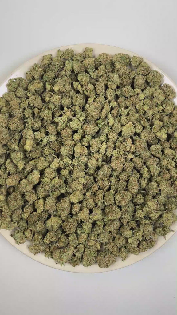 PUFFY Toad Venom (smalls) is a balanced hybrid THCa strain resulting from the strategic pairing of Animal Face and Sin Mintz. The aroma opens with a bold savory character layered with sharp onion notes and a pungent gassy finish. Visually, the buds are dense, with forest green and purple tones, bright orange pistils, and a frosty trichome coating. Consumers often report an initial euphoric uplift that enhances creativity, focus, and overall mood, followed by a smooth, soothing body relaxation that gently se