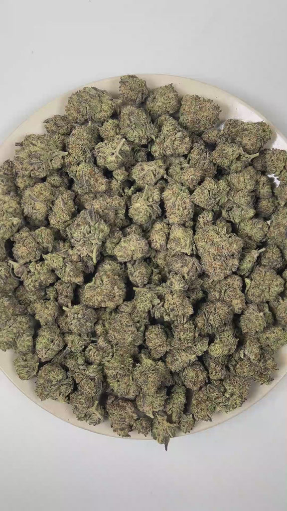 PUFFY China White is an indica-dominant hybrid THCa strain created through the strategic union of White Rhino and Chinese Indica . The aroma is rich and inviting, blending freshly baked dough notes with smooth creamy sweetness and the warm, sugary scent of freshly baked cookies. Visually, dense forest green buds with purple hues and fiery orange pistils are coated in sticky trichomes. Consumers often report a euphoric mood lift accompanied by deep physical relaxation and a peaceful mental calm that encourag