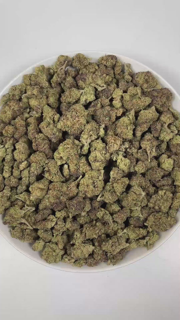 PUFFY Hash Burger is an indica-dominant hybrid THCa strain, born from the masterful cross between Han Solo Hash Plant × Double Burger. The aroma is a bold and savory blend, featuring sharp piney notes intertwined with the pungent essence of onions and the subtle warmth of garlic. Visually, dense forest-green buds with purple hues and fiery orange pistils are coated in sticky trichomes. Consumers often report an experience that begins with a euphoric cerebral rush, gradually easing into deep body relaxation 