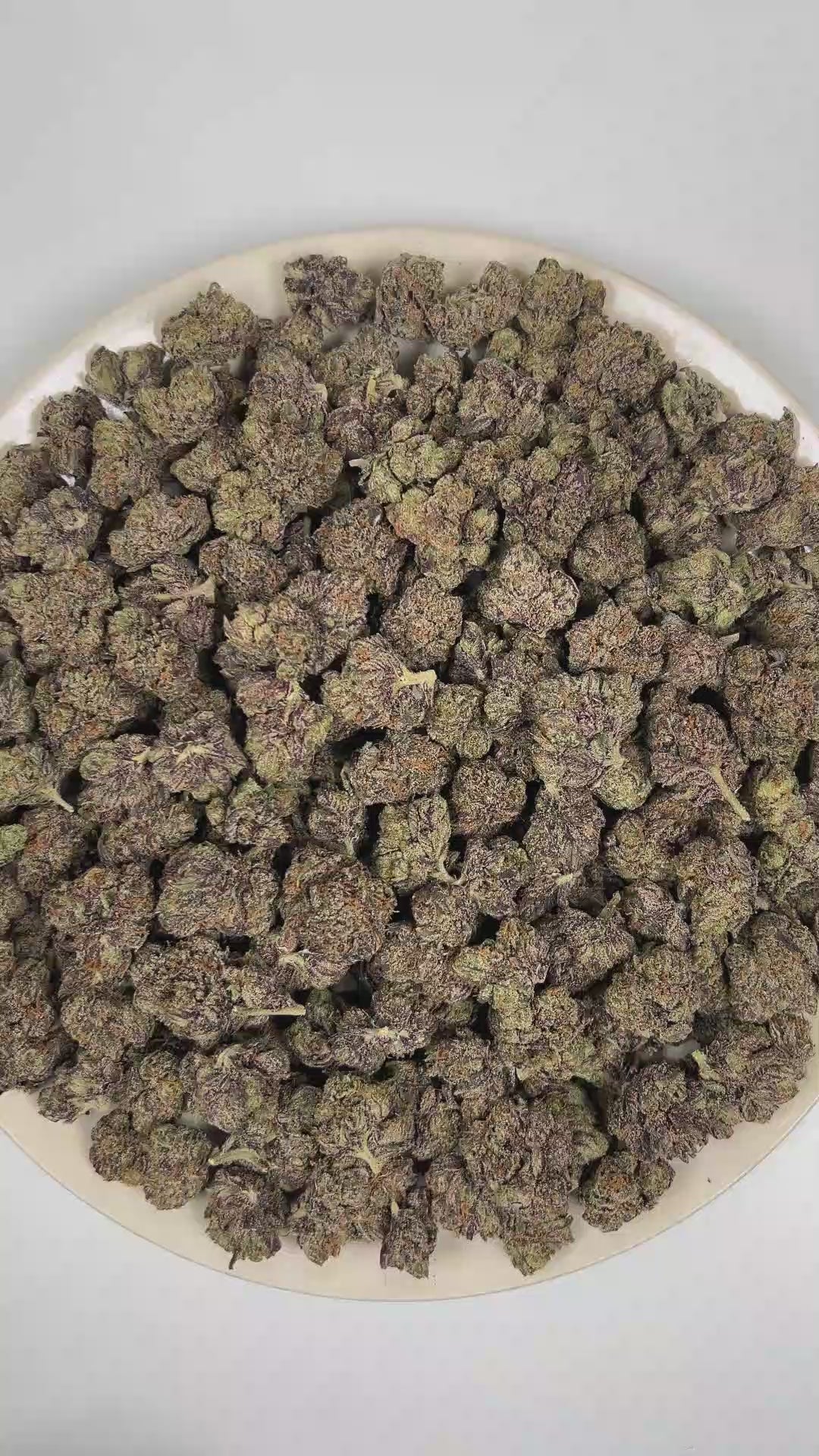 PUFFY Gruntz is an indica-dominant hybrid THCa strain born from the distinguished cross of Original Z and Gelato. The aroma opens with a bold grape-forward sweetness layered over sugary candy notes, while a deep gassy undertone adds a pungent, fuel-like edge. Visually, dense deep forest green buds with purple hues and fiery orange pistils are coated in sticky trichomes. Consumers often report a euphoric and uplifting mental state with improved focus, accompanied by a deep sense of calm and a soothing body r