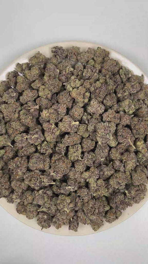 PUFFY Gruntz is an indica-dominant hybrid THCa strain born from the distinguished cross of Original Z and Gelato. The aroma opens with a bold grape-forward sweetness layered over sugary candy notes, while a deep gassy undertone adds a pungent, fuel-like edge. Visually, dense deep forest green buds with purple hues and fiery orange pistils are coated in sticky trichomes. Consumers often report a euphoric and uplifting mental state with improved focus, accompanied by a deep sense of calm and a soothing body r