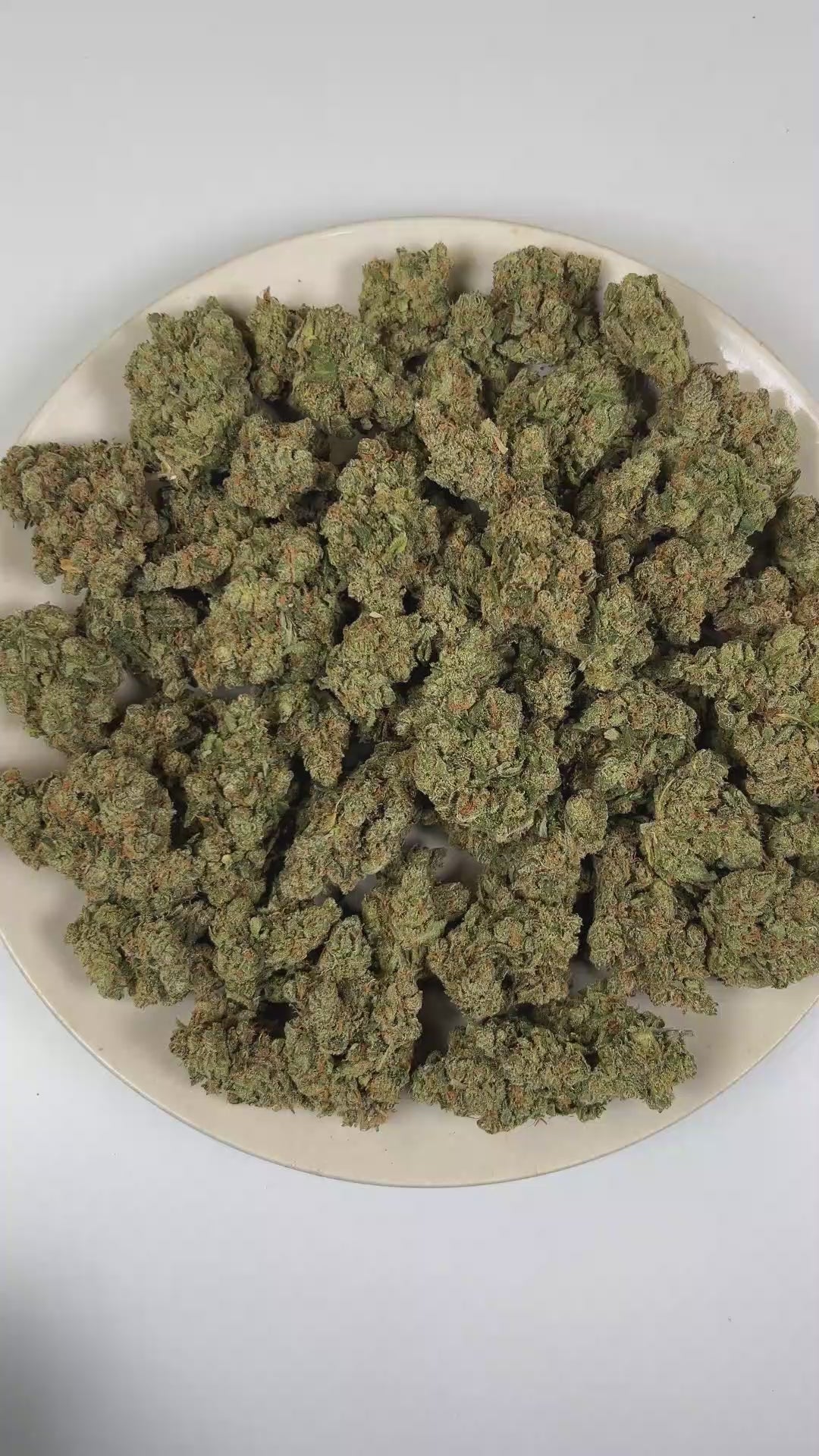 Jack Herer THCa Flower (Exotic) (Sativa Hybrid) – 3
