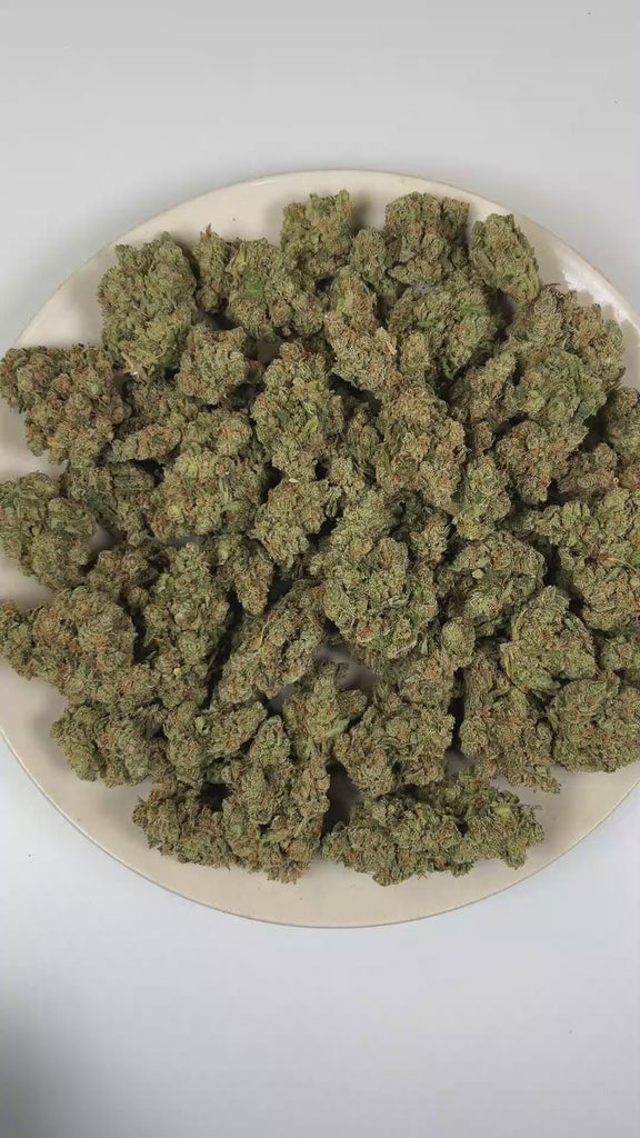 Jack Herer THCa Flower (Exotic) (Sativa Hybrid) – 3